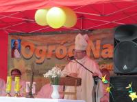 img_9756_t1.jpg