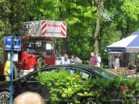 img_9798_t1.jpg